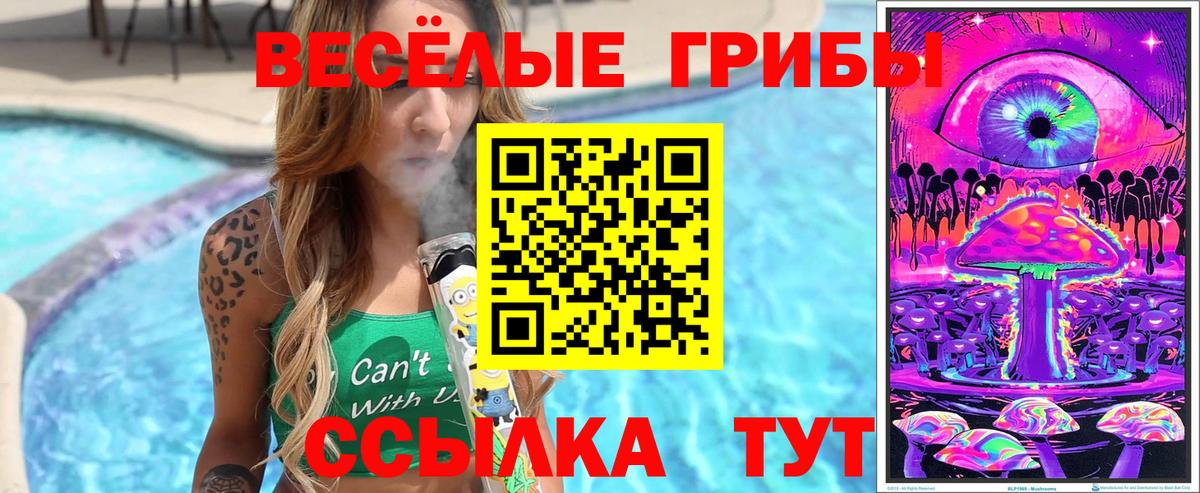 Галлюциногенные грибы Magic Shrooms  Вход с VPN  Псилоцибиновые грибы Cubensis  Ивантеевка 