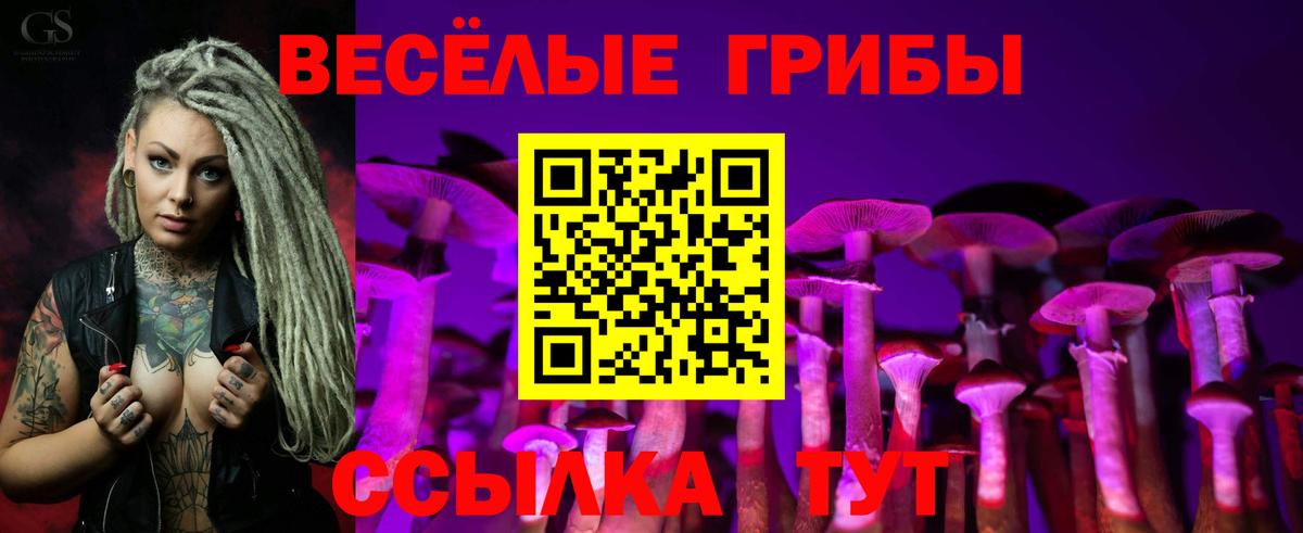 Псилоцибиновые грибы ЛСД Ивантеевка