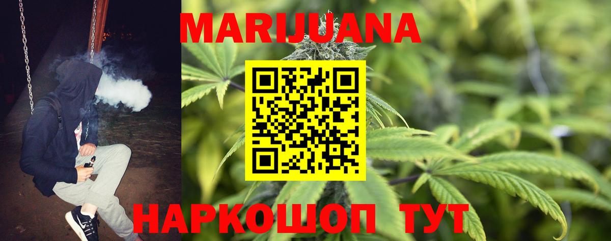 Бошки Шишки план Ивантеевка